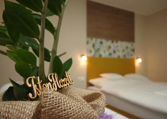 Mosoly Deluxe Apartament Jula